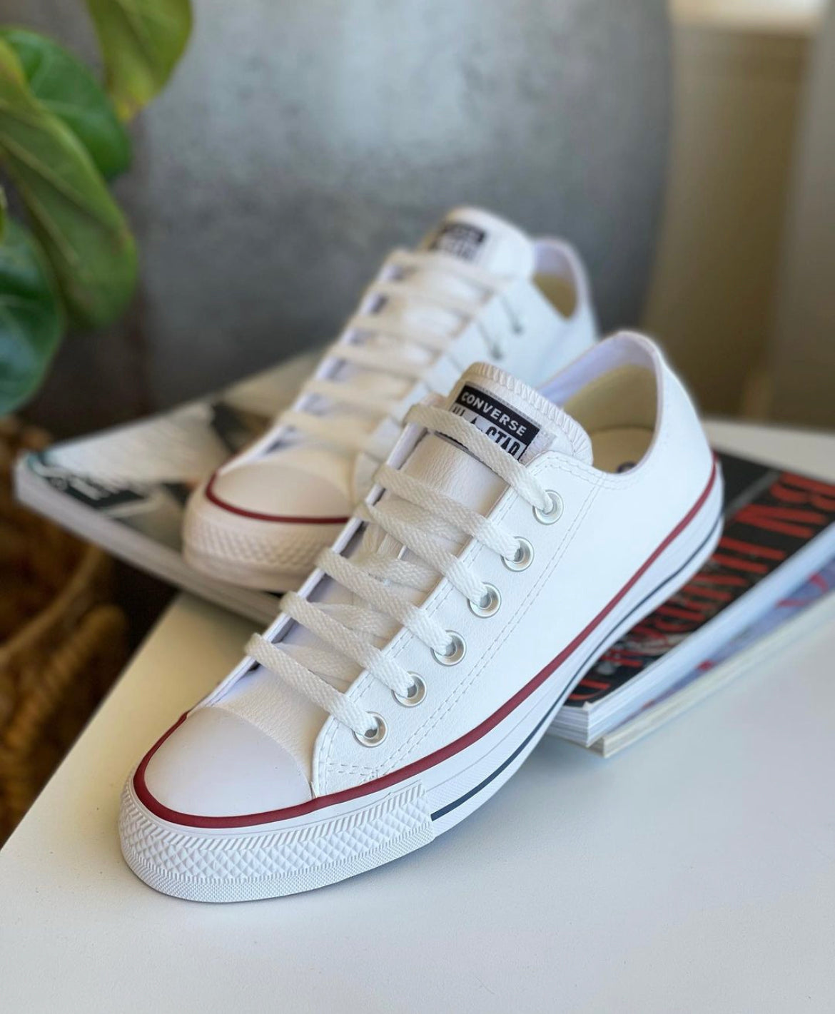 Converse All Star Low Ankle “White”